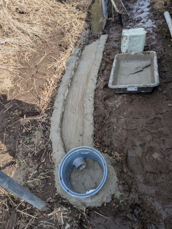 PXL_20260222_053449429