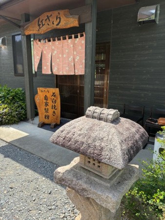 伊那市紅サックラ2025.06.29