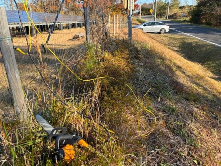 2025.11.16.1さつき伐採