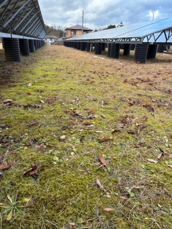 2025.12.07コケ元気