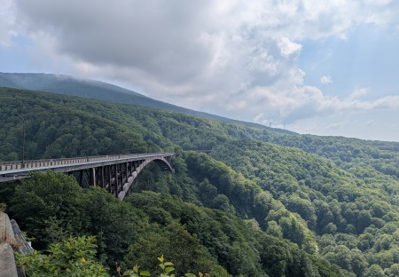 PXL_20250730_051539077