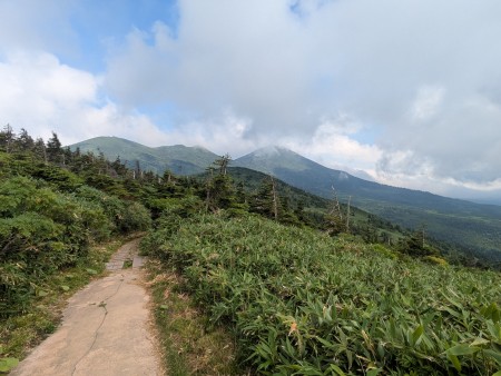 PXL_20250730_063129252