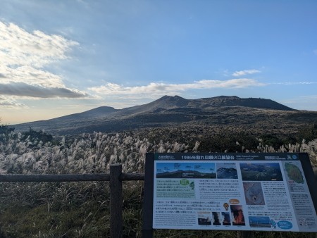 PXL_20251027_222317458