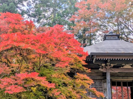 PXL_20251106_033455575~2