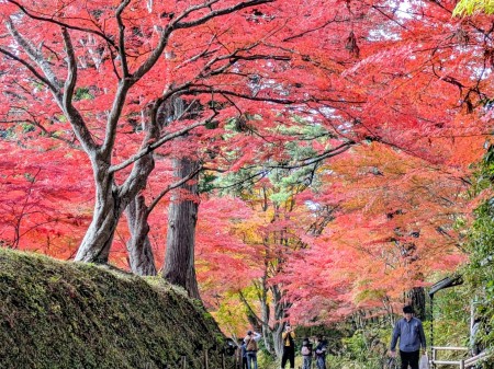 PXL_20251106_035258694~2