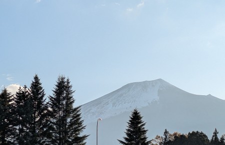 PXL_20251106_061814659