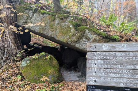 PXL_20251107_000300139