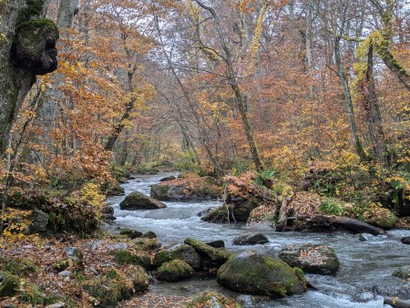 PXL_20251107_001646534