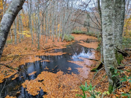 PXL_20251107_011735506~2