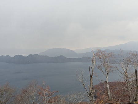 PXL_20251107_025326257