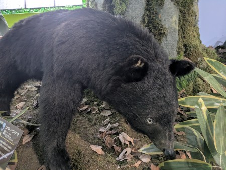 PXL_20251107_061743123