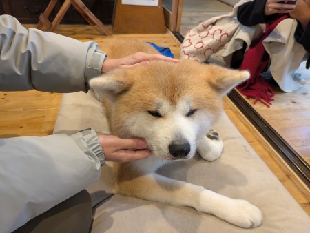 PXL_20251108_021444854