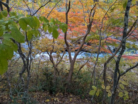 PXL_20251108_060640860