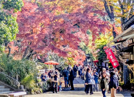 PXL_20251121_014311237.MP~4