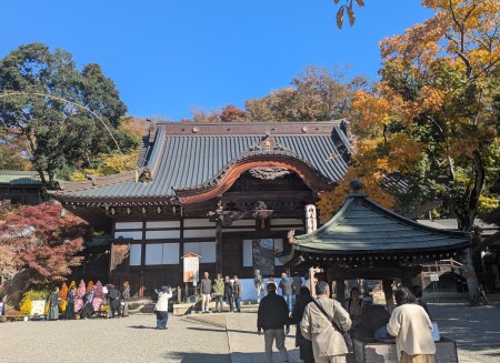 PXL_20251121_014456059