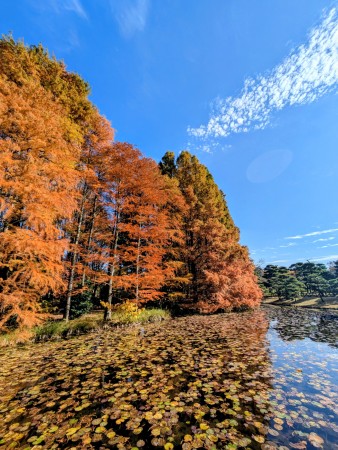 PXL_20251121_033339916~2