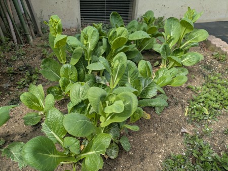 PXL_20260316_051830691