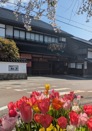 PXL_20260418_061655700.MP