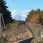 2025.11.12八甲田山雪の季節