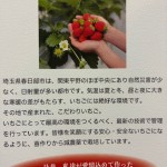 2026.4.29感動のイチゴ