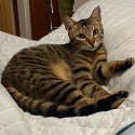 IMG_5689a